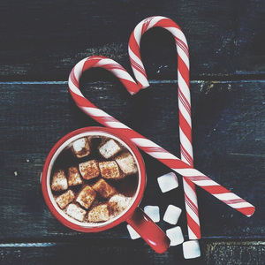 老妇与小伙子martek
