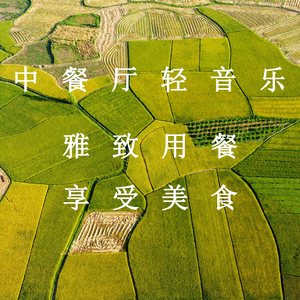 老妇与小伙子martek
